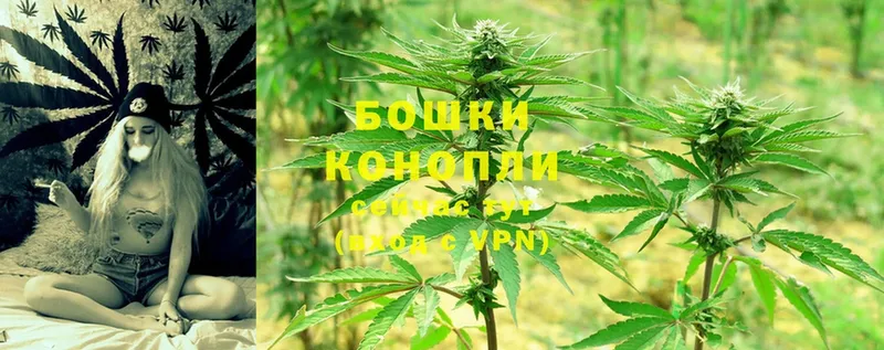 Шишки марихуана Ganja  закладки  Апшеронск 